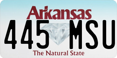 AR license plate 445MSU