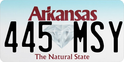 AR license plate 445MSY