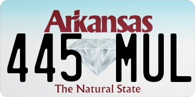 AR license plate 445MUL
