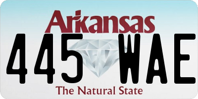 AR license plate 445WAE