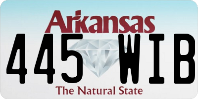 AR license plate 445WIB
