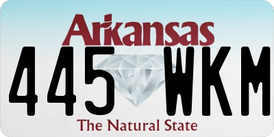 AR license plate 445WKM