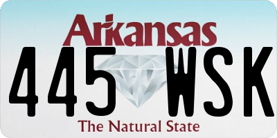 AR license plate 445WSK