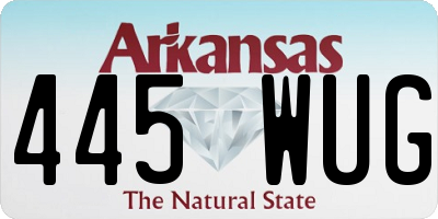 AR license plate 445WUG