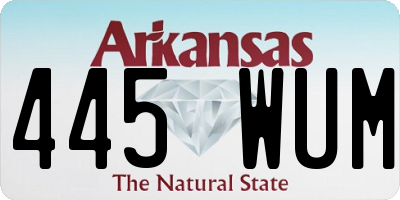AR license plate 445WUM