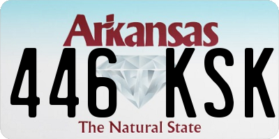 AR license plate 446KSK