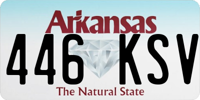AR license plate 446KSV