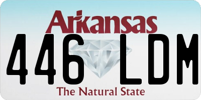 AR license plate 446LDM
