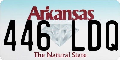 AR license plate 446LDQ
