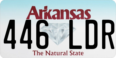 AR license plate 446LDR