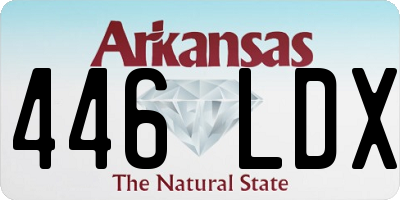 AR license plate 446LDX