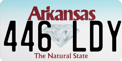 AR license plate 446LDY