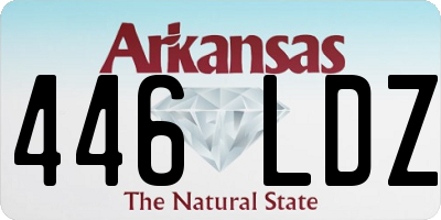 AR license plate 446LDZ