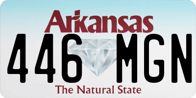 AR license plate 446MGN