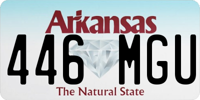 AR license plate 446MGU