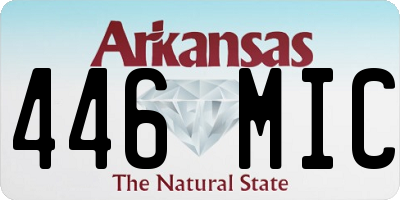 AR license plate 446MIC