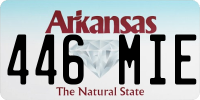 AR license plate 446MIE