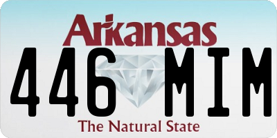 AR license plate 446MIM