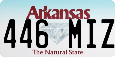 AR license plate 446MIZ