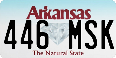 AR license plate 446MSK