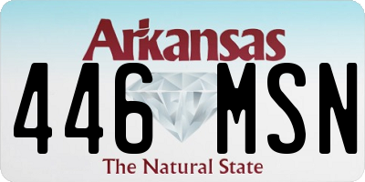 AR license plate 446MSN