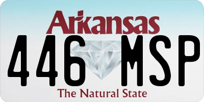 AR license plate 446MSP