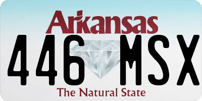 AR license plate 446MSX