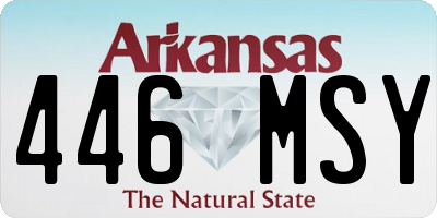 AR license plate 446MSY