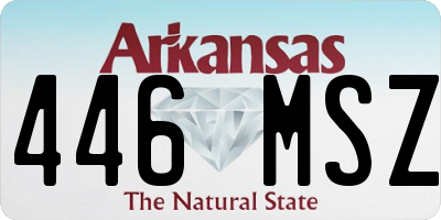 AR license plate 446MSZ
