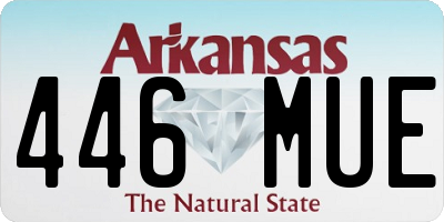 AR license plate 446MUE