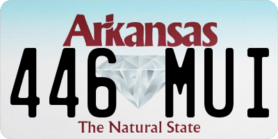 AR license plate 446MUI
