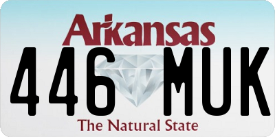 AR license plate 446MUK