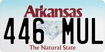 AR license plate 446MUL