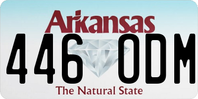 AR license plate 446ODM