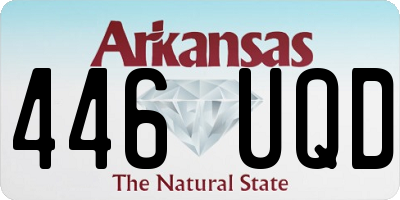 AR license plate 446UQD