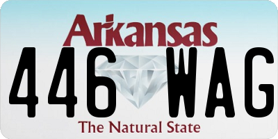 AR license plate 446WAG