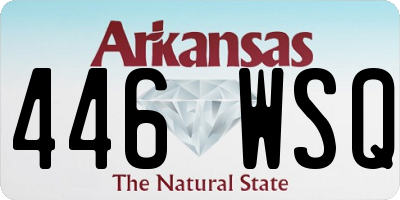 AR license plate 446WSQ