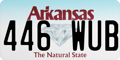 AR license plate 446WUB