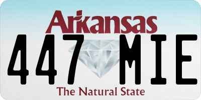 AR license plate 447MIE