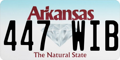 AR license plate 447WIB