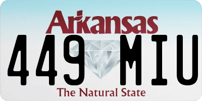 AR license plate 449MIU