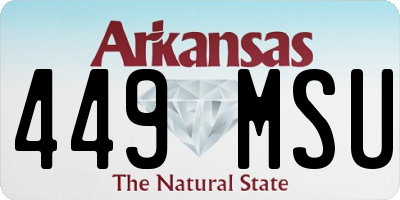 AR license plate 449MSU