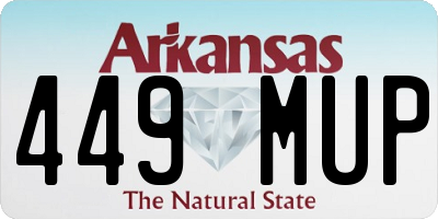 AR license plate 449MUP