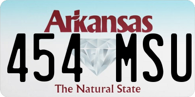 AR license plate 454MSU