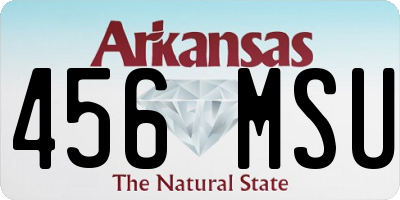 AR license plate 456MSU