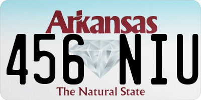AR license plate 456NIU