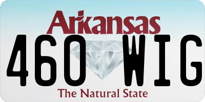 AR license plate 460WIG