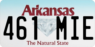 AR license plate 461MIE