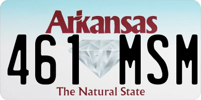 AR license plate 461MSM