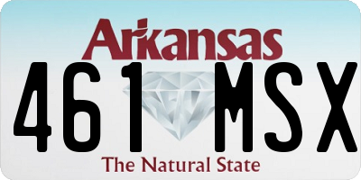 AR license plate 461MSX